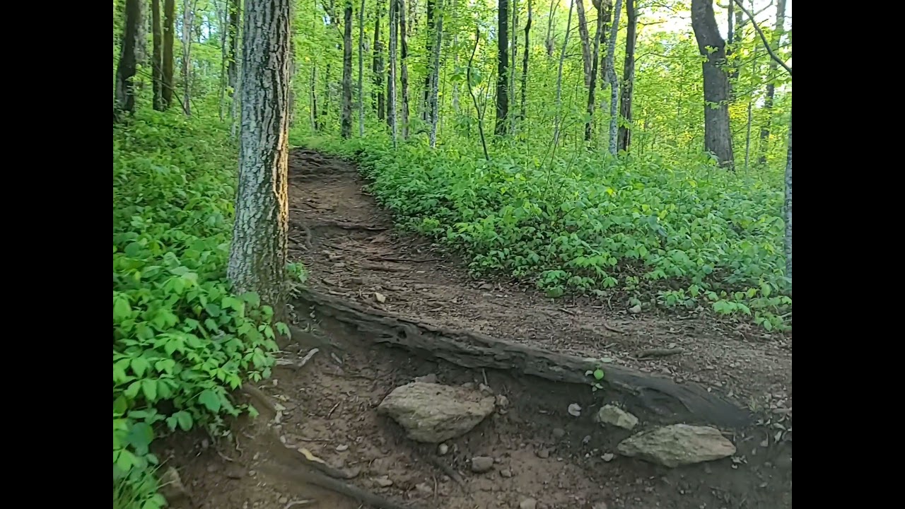Springer Mountain Approach Trail-Part 1