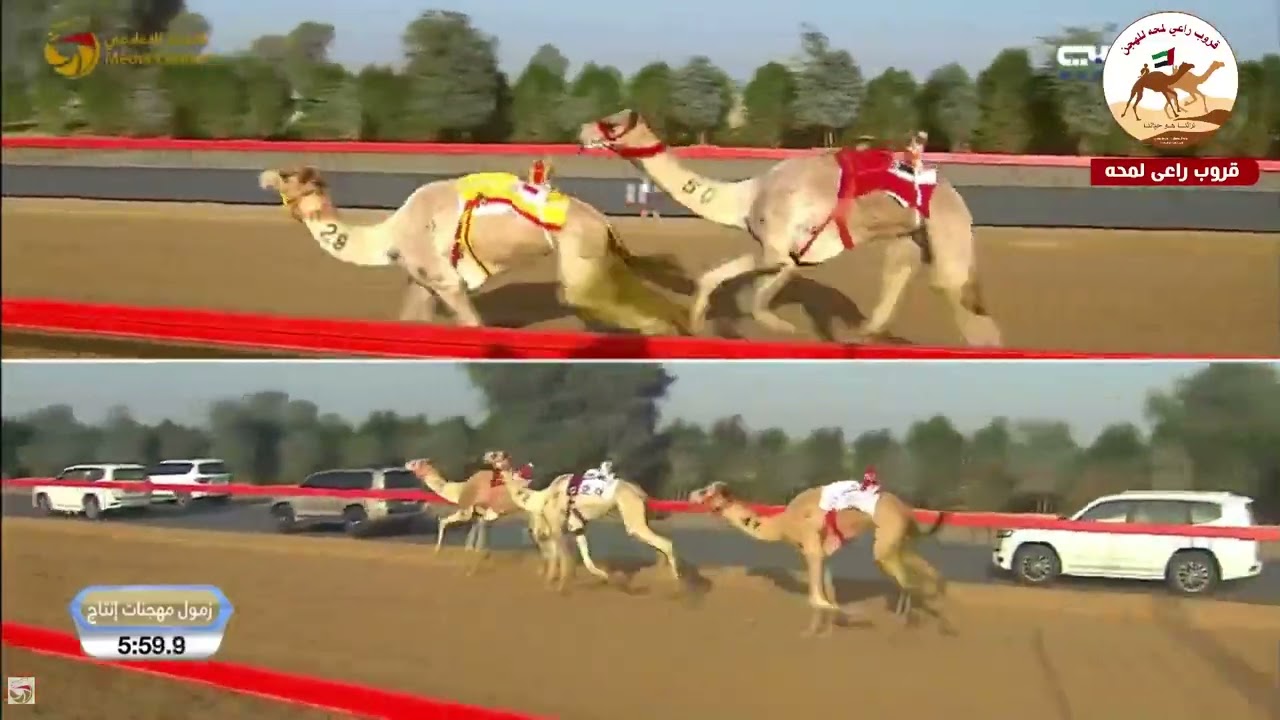 الشوط 8 الحذر لـ سعيد بن محمد سالم الوهيبي 12:40:2( مهرجان سمو ولي عهد دبي 2026 )