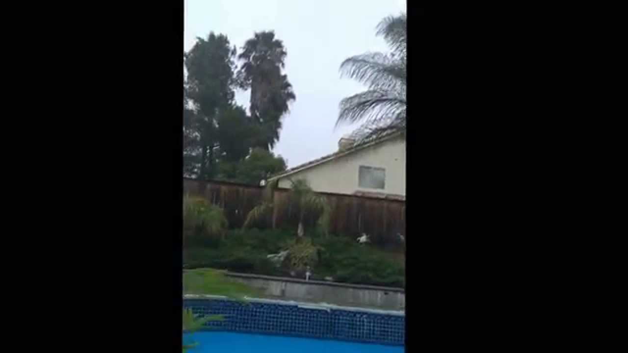 Humboldt Enail an slow mo hit !!!! Must watch