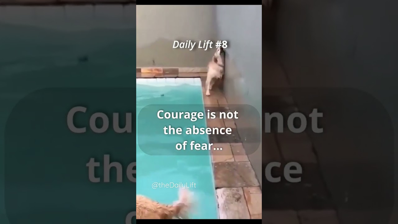 😌 courage is not ... 