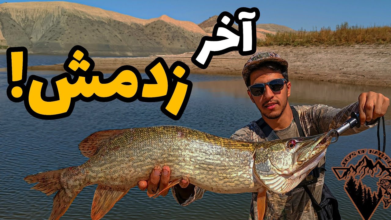 ماهیگیری اردک ماهی بزرگ:صید ارک ماهی بزرگ با قلاب و طعمه مصنوعی هیجان ماهیگیری اسپینینگpike fishing