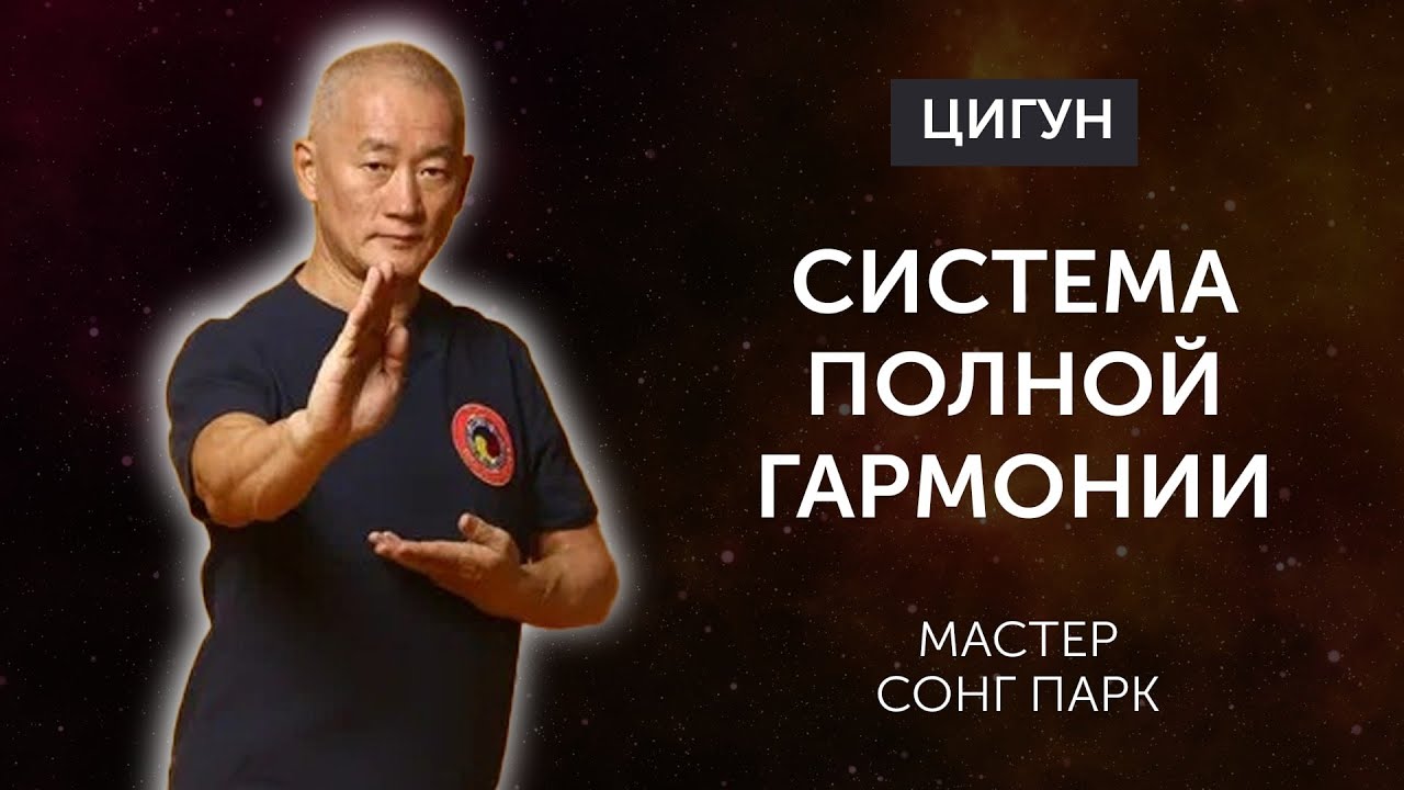Киай Цигун: Как одна система может изменить всё? | Мастер Сонг Парк | Академия Киайдо
