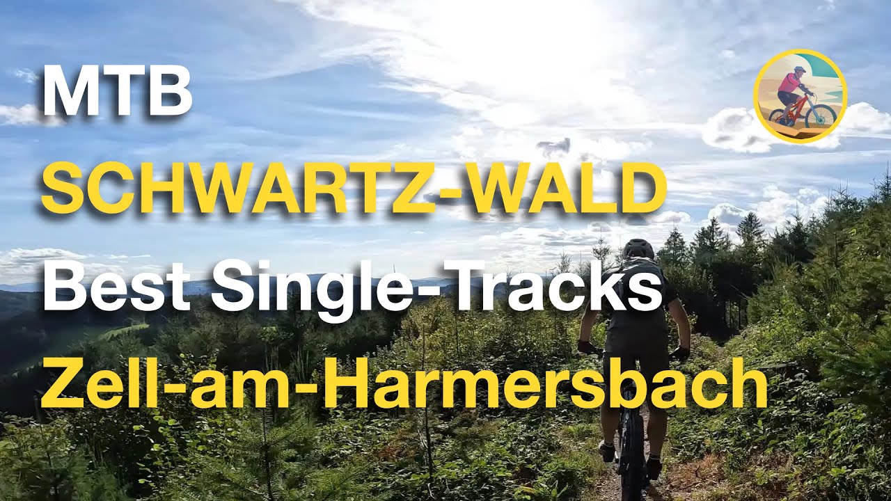 MTB best singletracks // Black Forest (Germany)