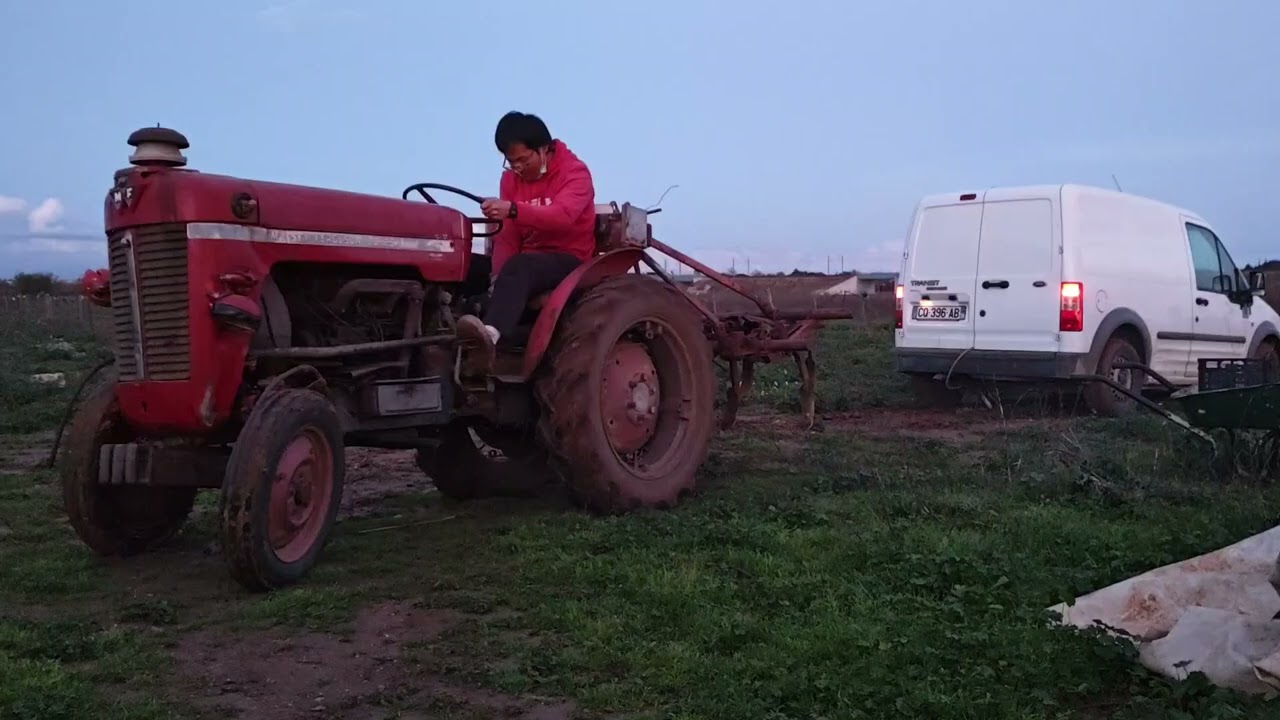Tractor Massey Ferguson pull out the stuck car