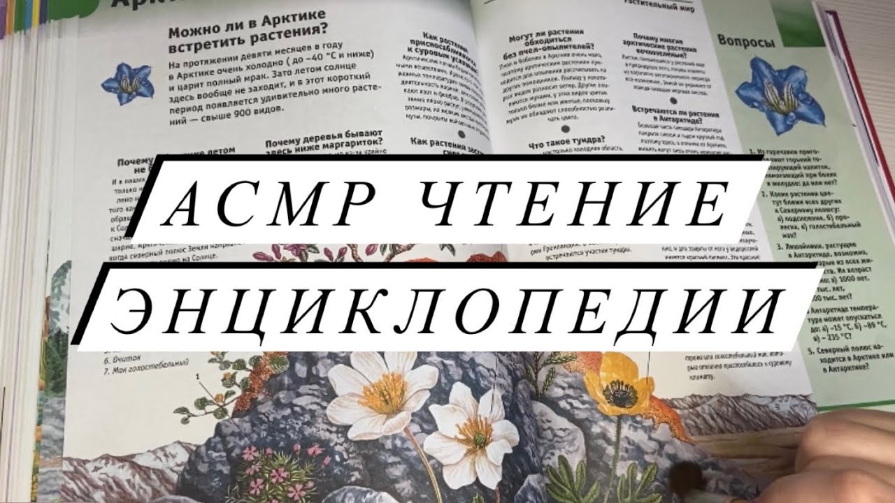 АСМР | Чтение энциклопедии | Близкий шепот