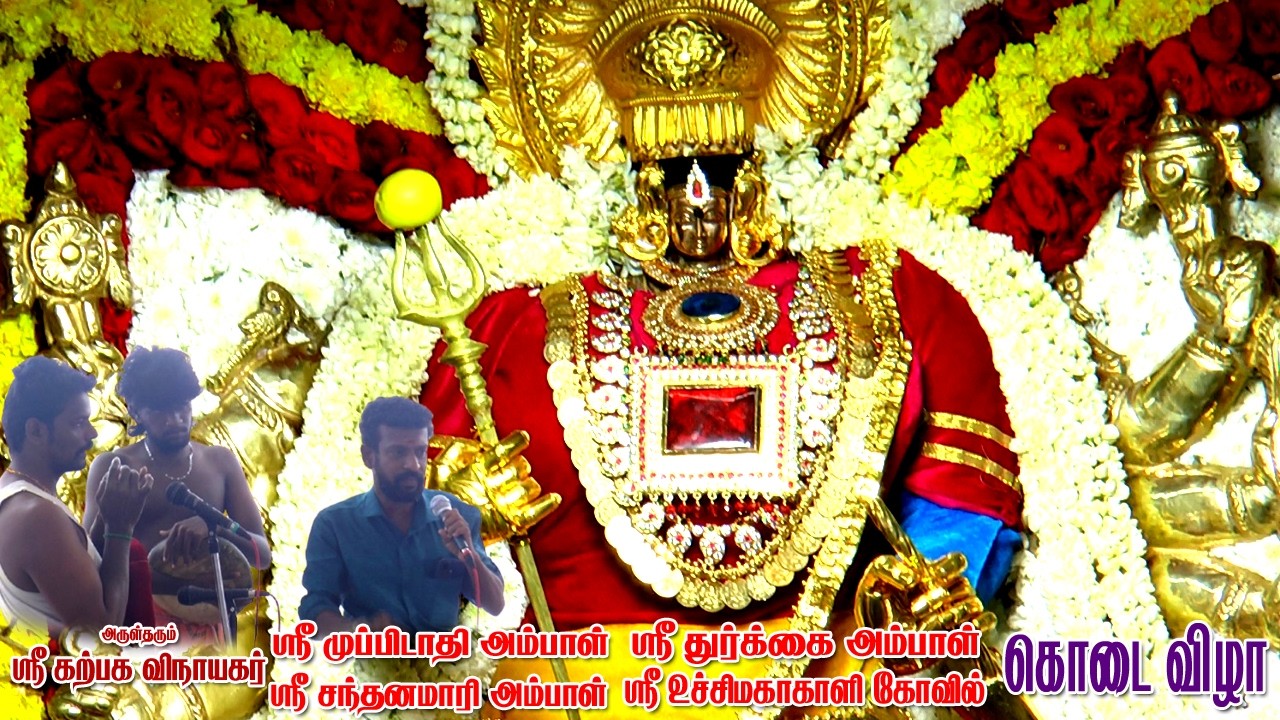 கோபாலசமுத்திரம் வடக்கூரில் பிரமாண்ட கோவில் கொடைவிழா | mayuritv |kovilkodai2026
