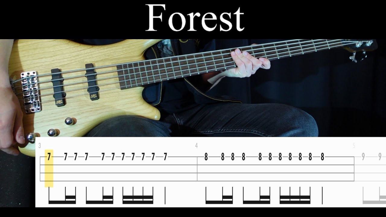 Forest (System of a Down) - Bass Cover (With Tabs) by Leo Düzey