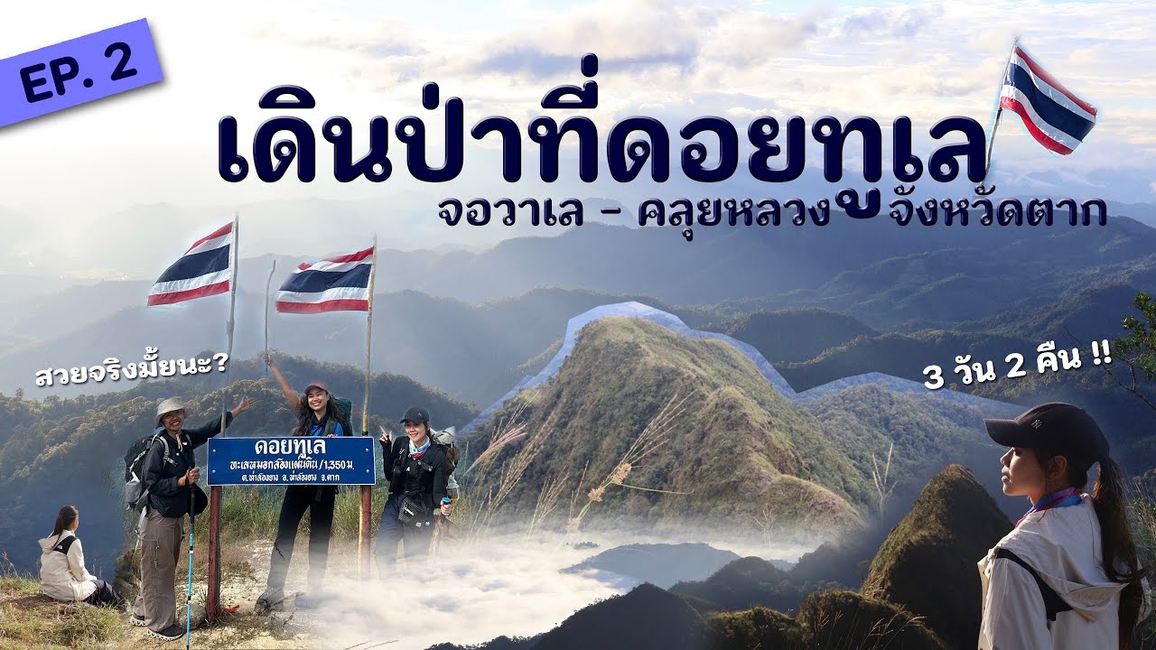เดินป่าที่ดอยทูเล - จอวาเล - คลุยหลวง จังหวัดตาก | Hiking at Thule - Jorwale - Kui Luang mountains