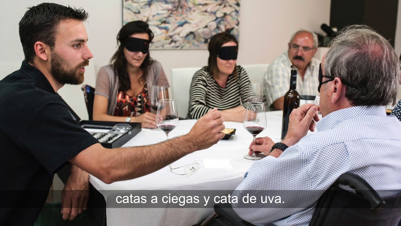 Bodega Sers. Somontano. Vitis 4All. Spanish Version