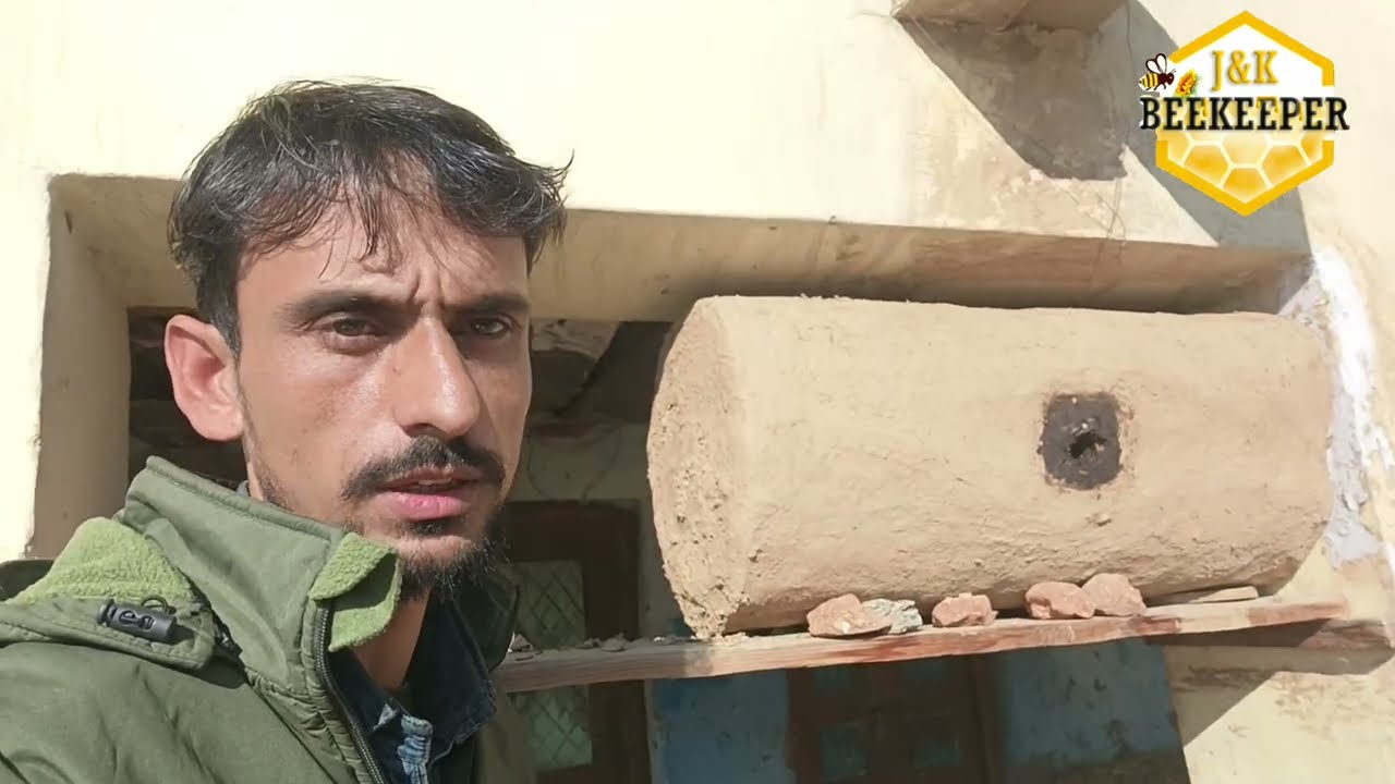 Bees Ki Colony Ko Bhagne Se Rokne Ke Liye Important Steps | Traditional Beekeeping