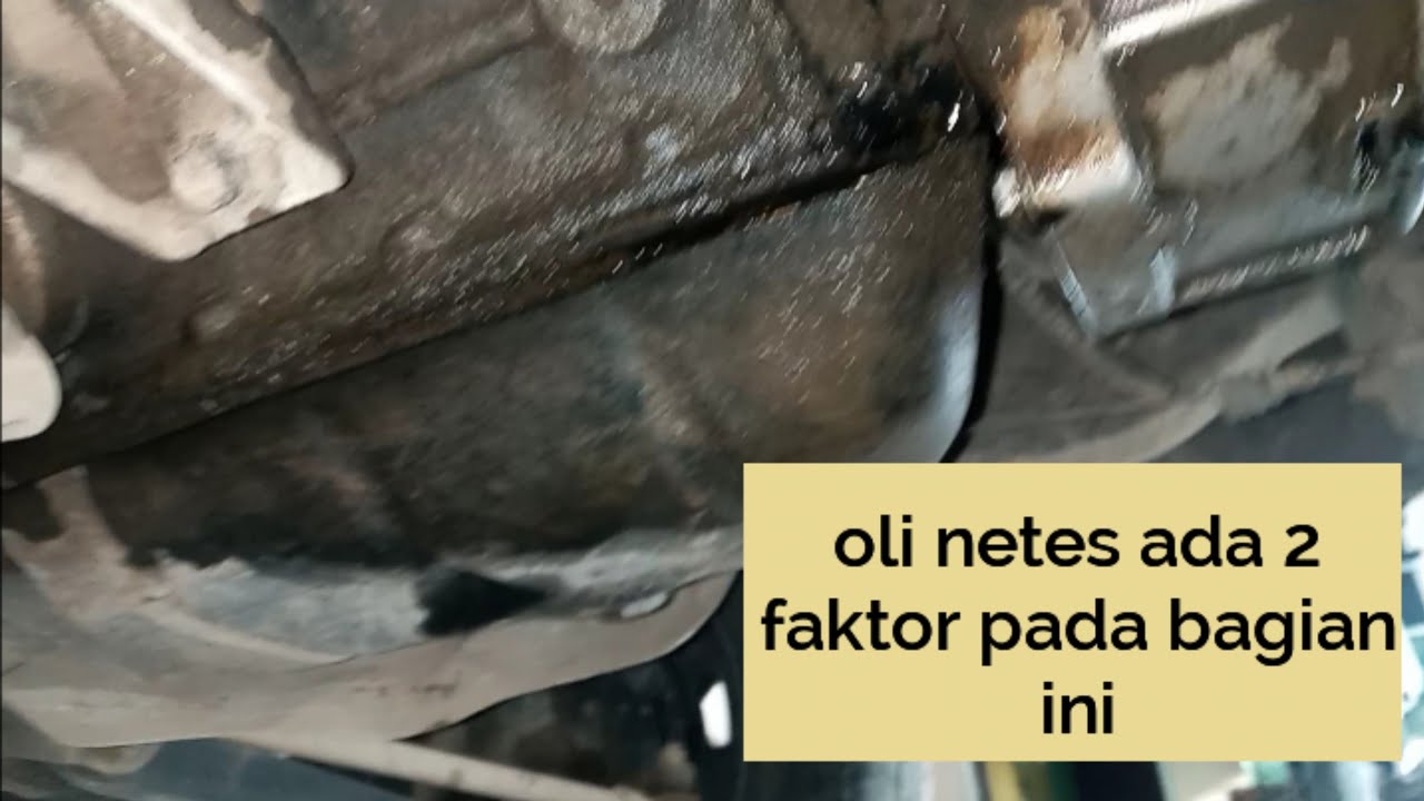 Cara Mengatasi Oli netes/brebbes Carry SUZUKI