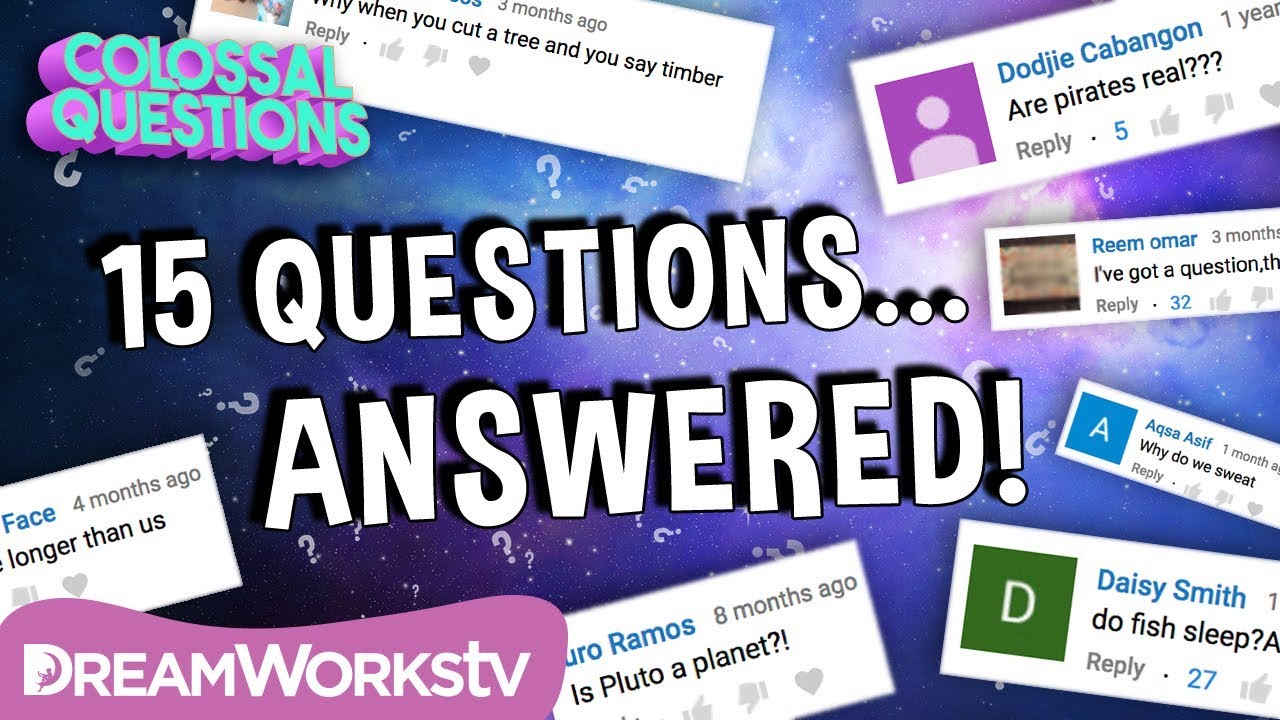 15 Quick Questions Answered!! | COLOSSAL QUESTIONS