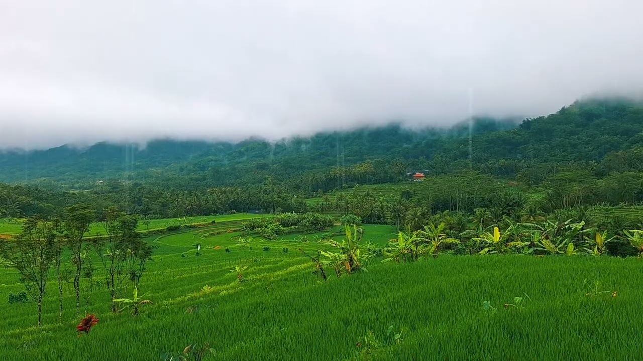 Heavy Rain Sounds for Deep Sleep 🌧️ | Relaxing Thunderstorm | Insomnia Relief