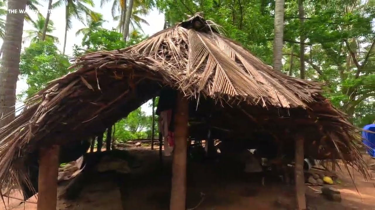 Walking tour | Near the village lake walktour in India | Kambalathara | Kerala | South India | India