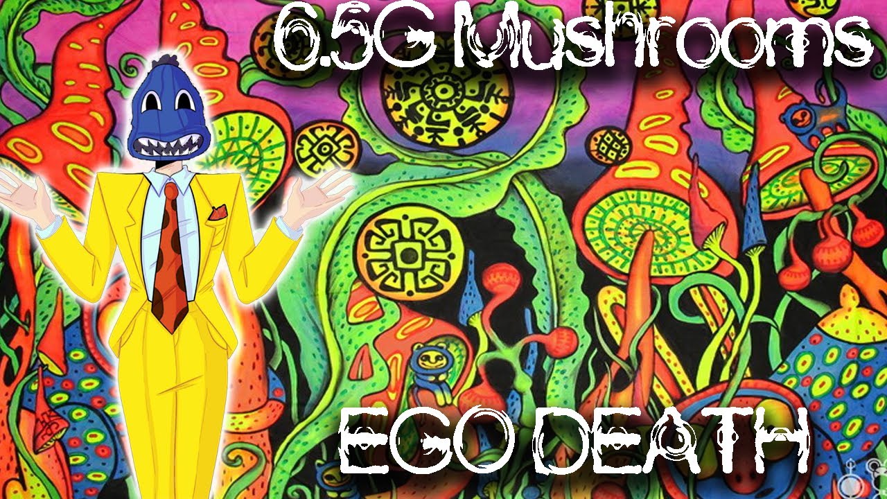 6.5 Gram Mushroom Trip Report: Ego Death