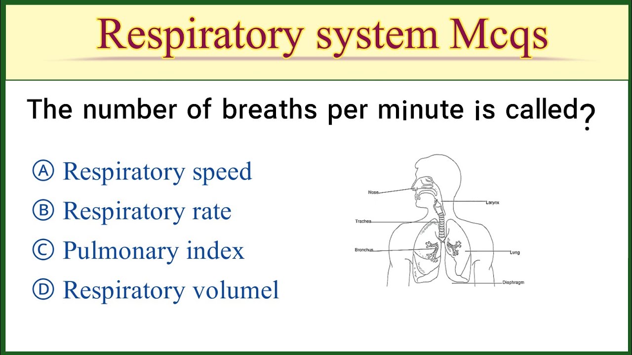Respiratory system mcq | mcqs on respiratory system | biology gk for competitive exams