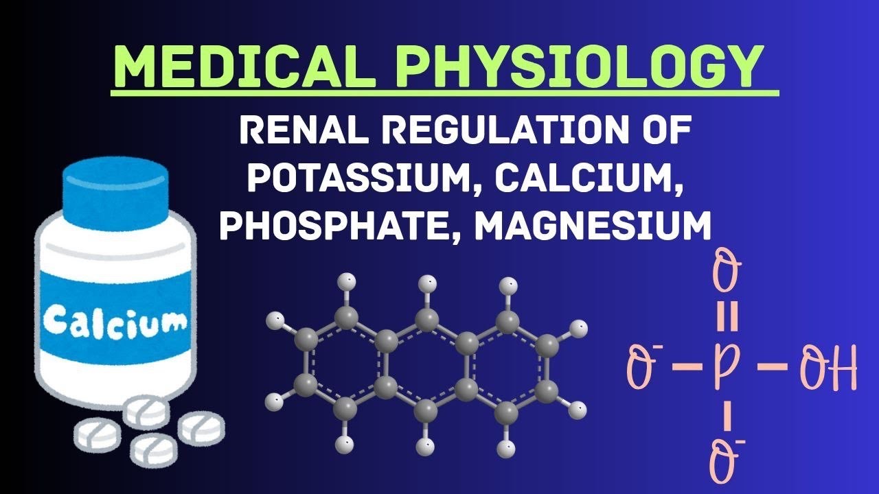 Guyton and Hall Physiology | Chapter 30 | Renal Regulation of Potassium, Calcium,Phosphate Magnesium