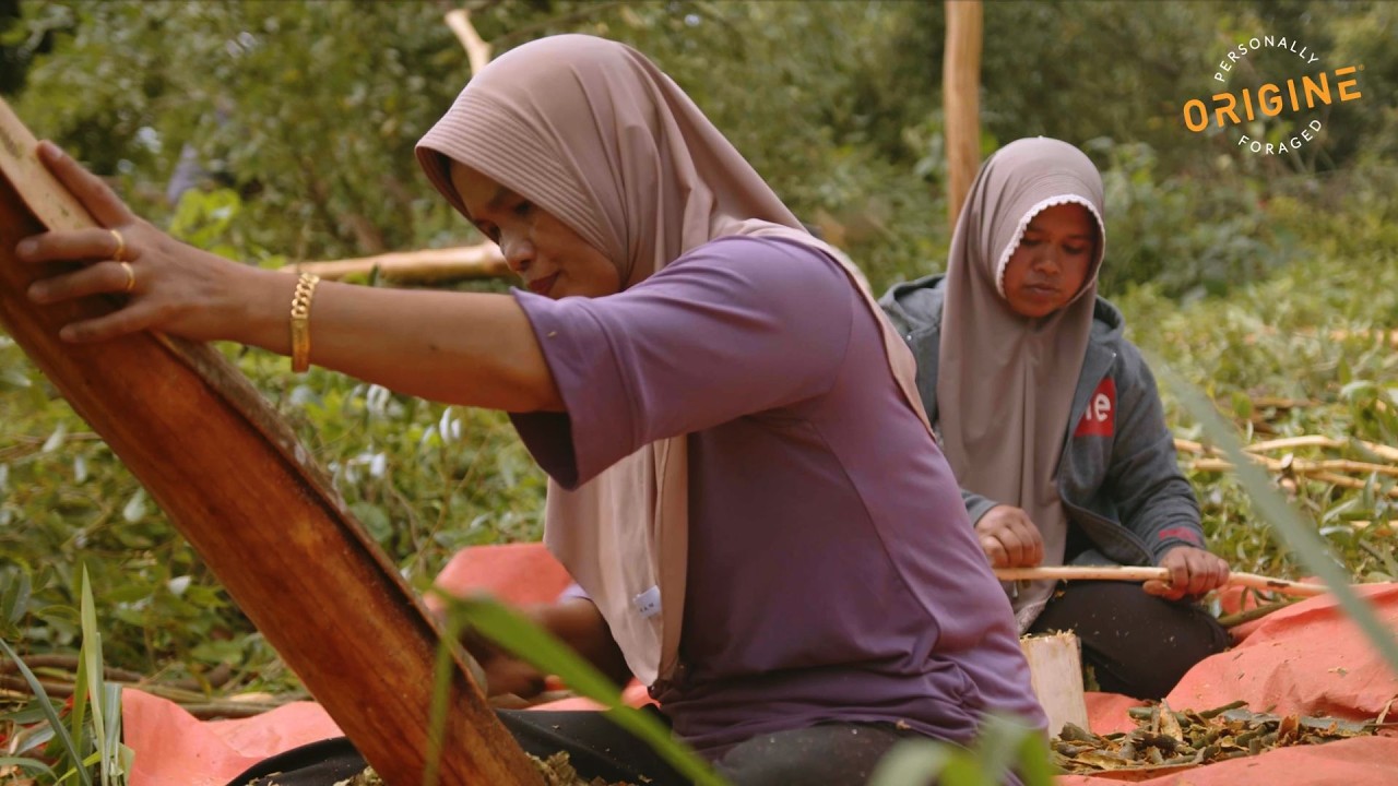 Korintje Cinnamon and the Legacy of Matrilineal Stewardship