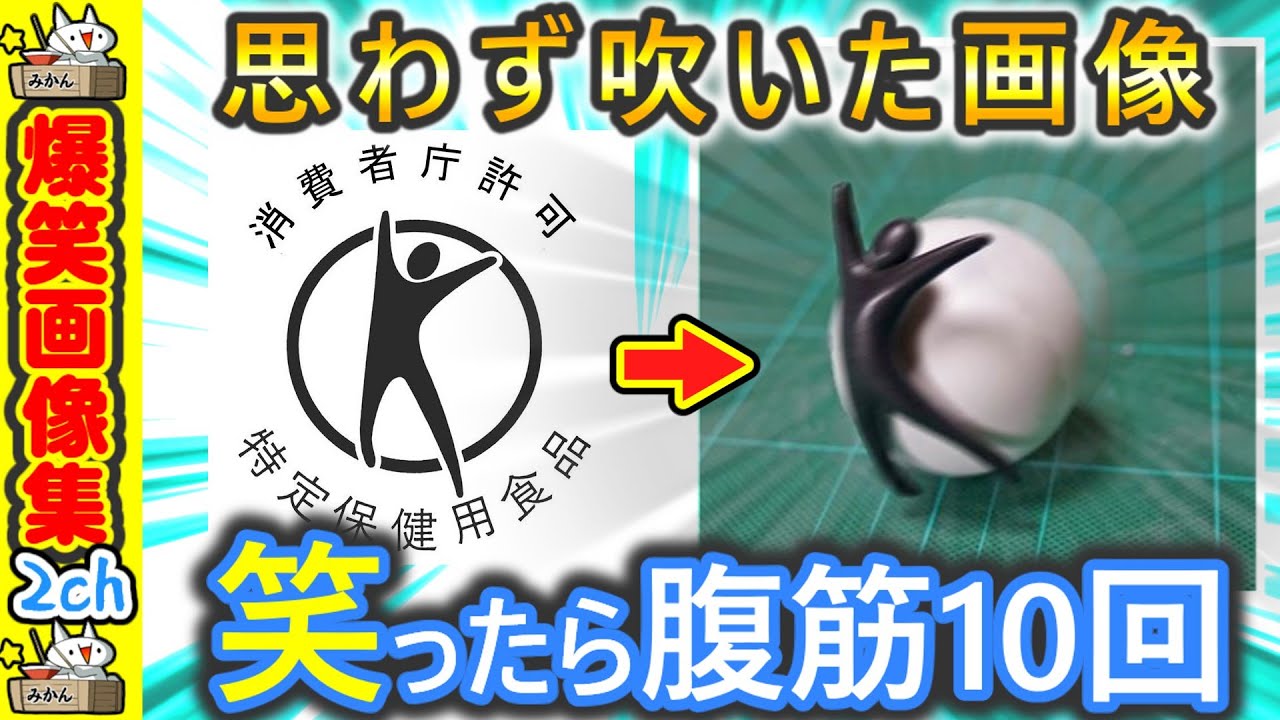 【面白画像】お前らが笑った画像を貼れ 2ch 笑い