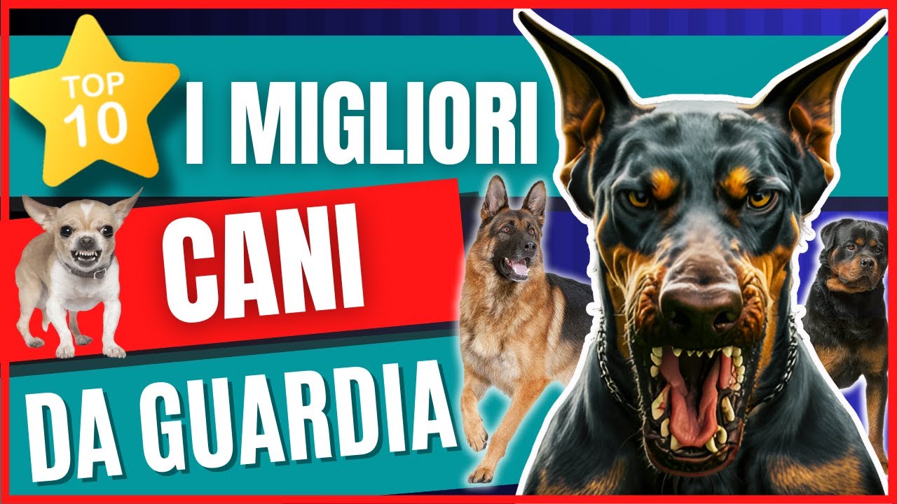 TOP 10: Le Migliori razze di Cani da Guardia | i cani migliori per la tua difesa