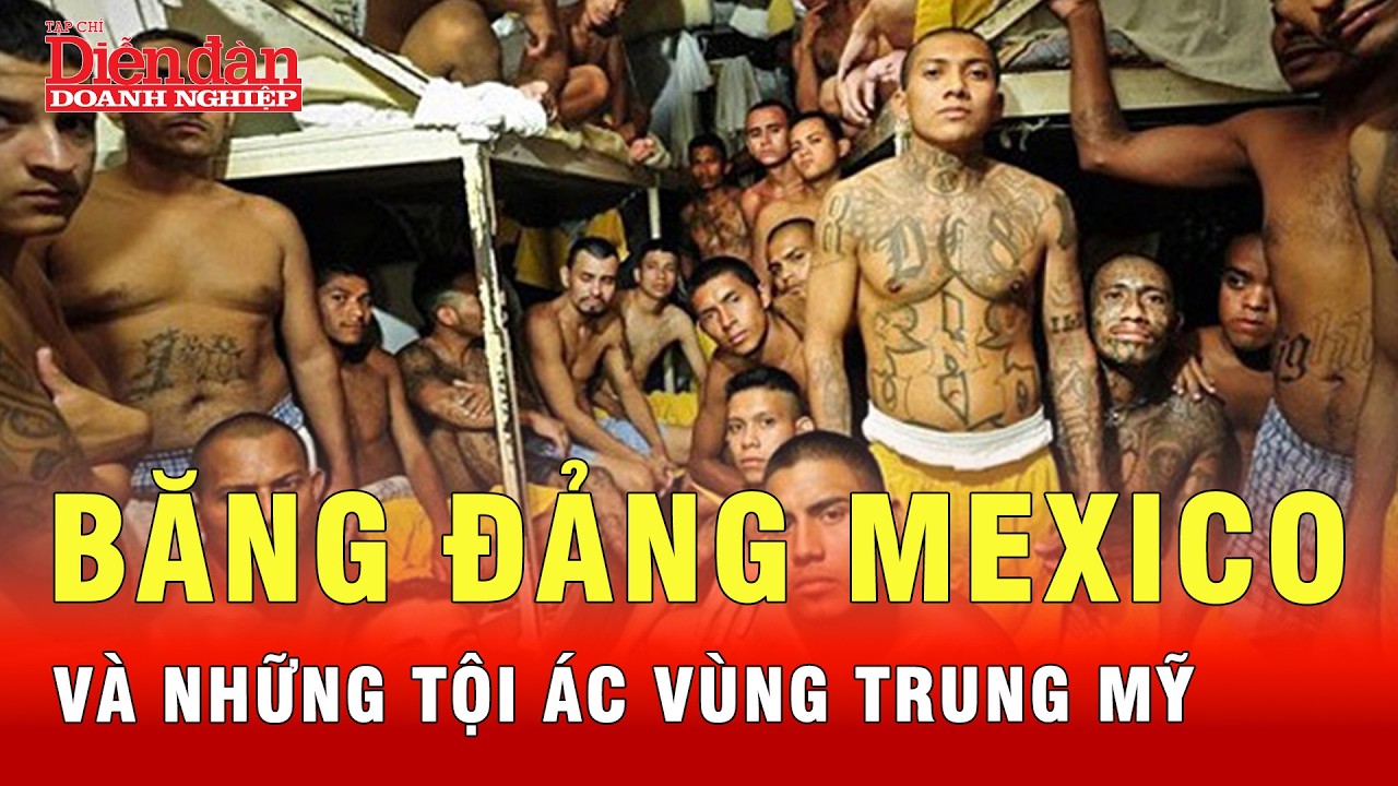 Cuộc chiến đẫm máu của băng đảng Mexico lan rộng vùng Trung Mỹ thế nào? | Tin tức 24h