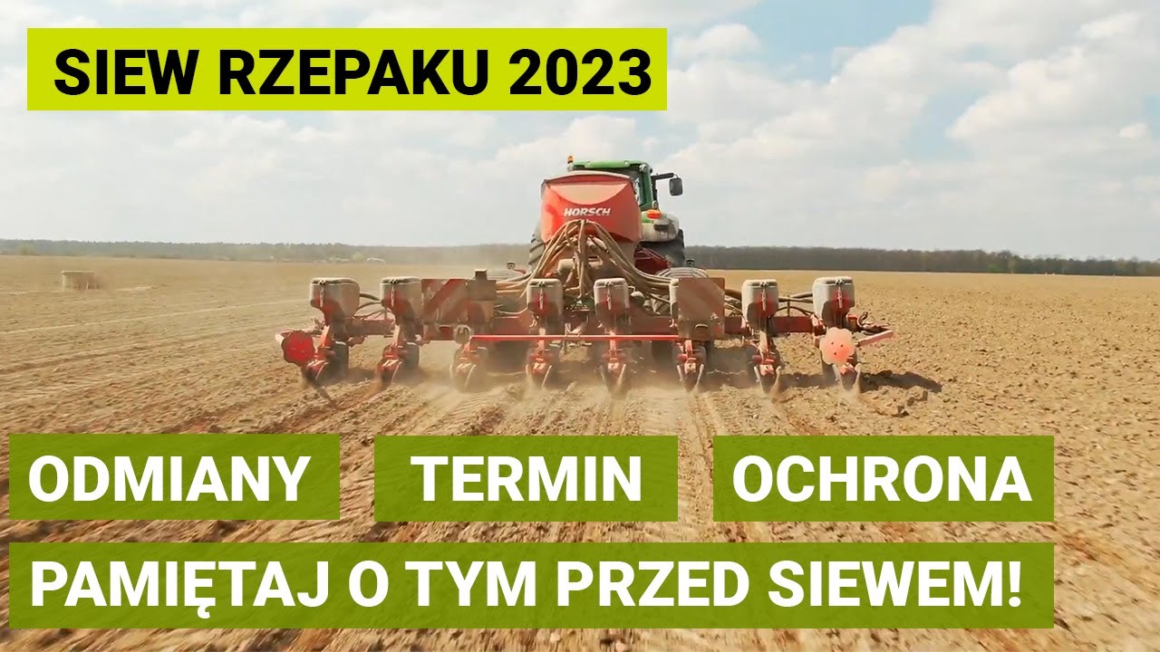 Pamiętaj o tym przed siewem rzepaku! Termin, odmiany, ochrona