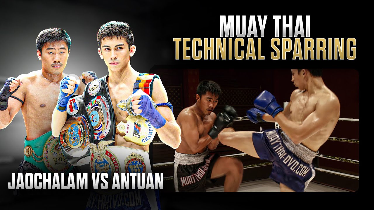 Champion Muay Thai Sparring | Antoine Pinto Vs Jaochalam