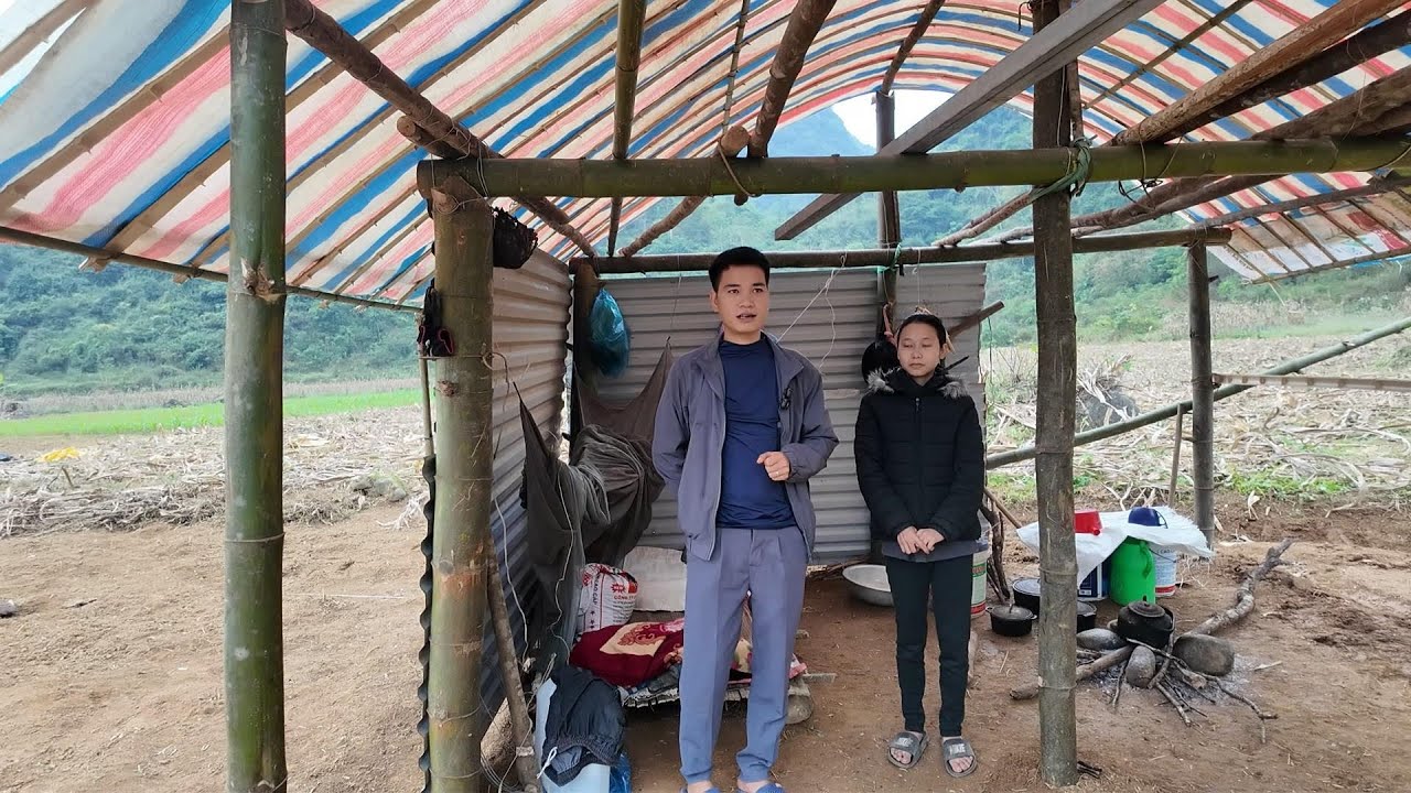Còn Gì Khổ Hơn: Nhà Bác Sinh Mót Từng Bắp Ngô Khô Để Làm Lương Thực Hàng Ngày.