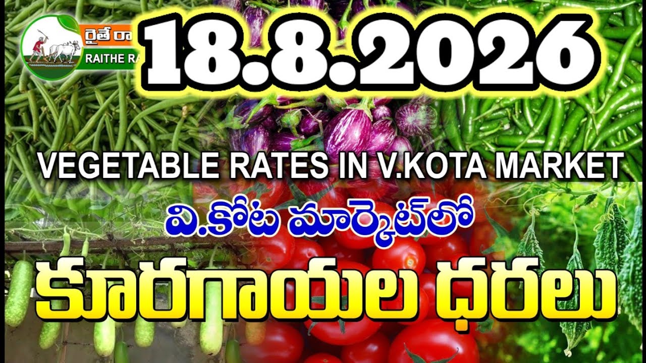 #AMC V.KOTA TODAY BEANS PRICE IN MARKET #ALL VEGETABLE PRICES #marigold 
