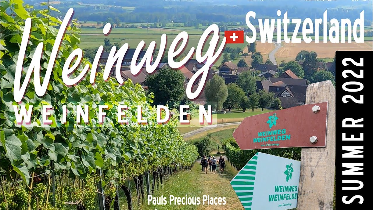 Auf dem WEINWEG in WEINFELDEN – noch Fragen?