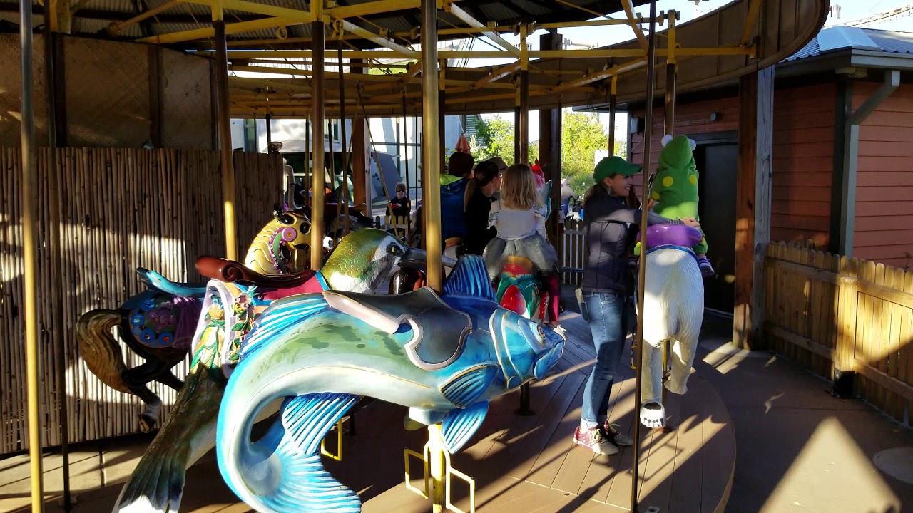 Backwards carousel