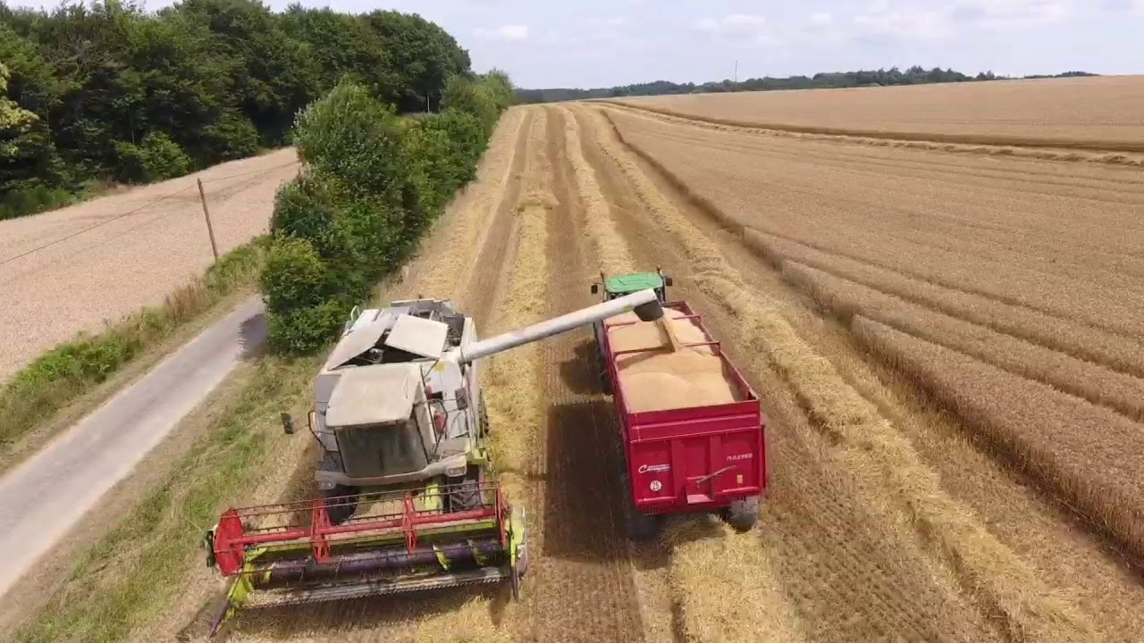 MOISSON 2019 CLAAS LEXION 405