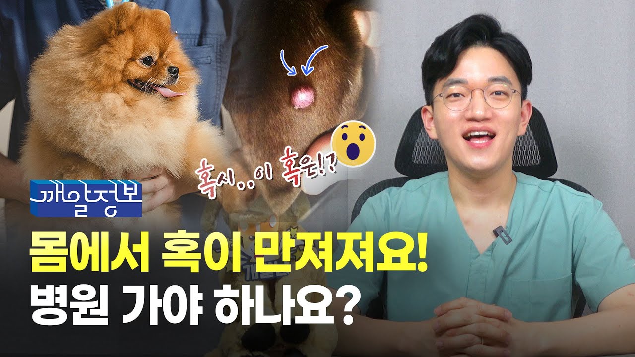 강아지 몸에서 혹이 만져져요. 병원 가야 하나요?