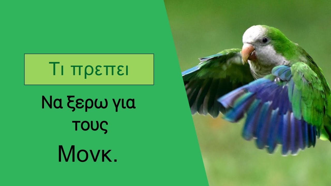 ΤΙ ΠΡΕΠΕΙ ΝΑ ΞΕΡΩ ΓΙΑ ΤΟΥΣ ΜΟΝΚ.