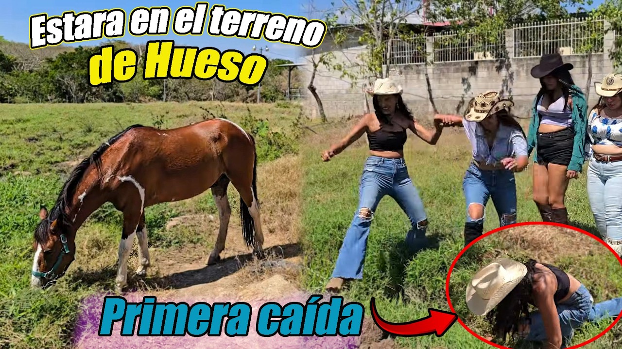 Hueso ofrece su terreno para pastorear el caballo.