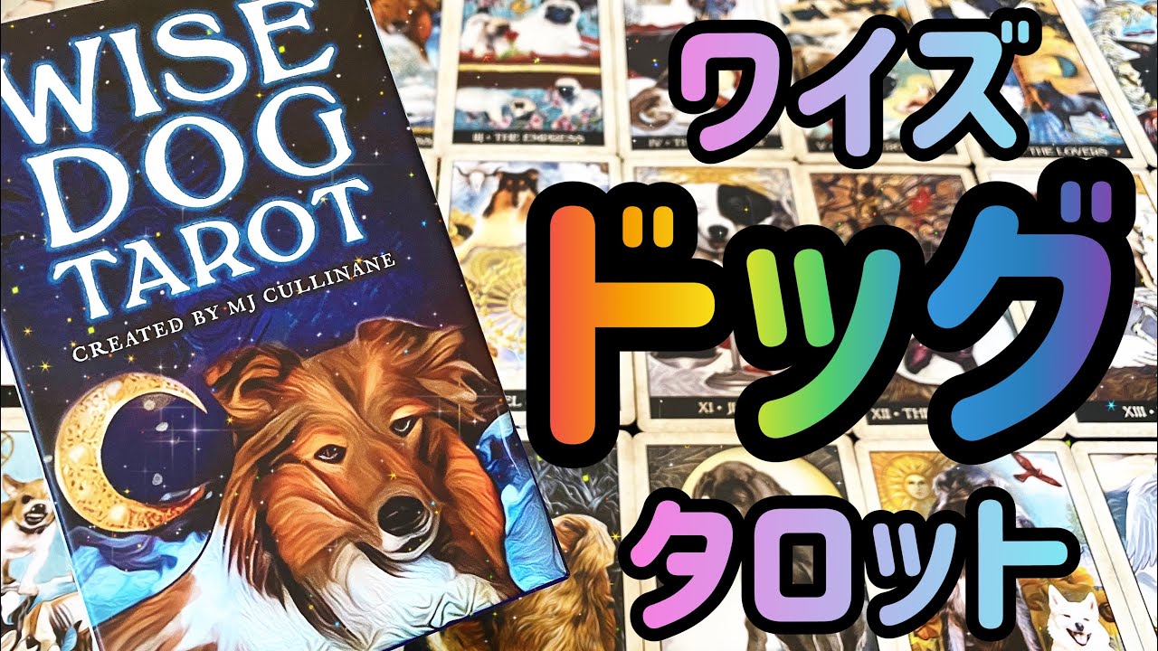 🐶開封🐶ワイズドッグタロット🐕🐩 Wise Dog Tarot Unboxing and Flip-Through🦮🐕‍🦺