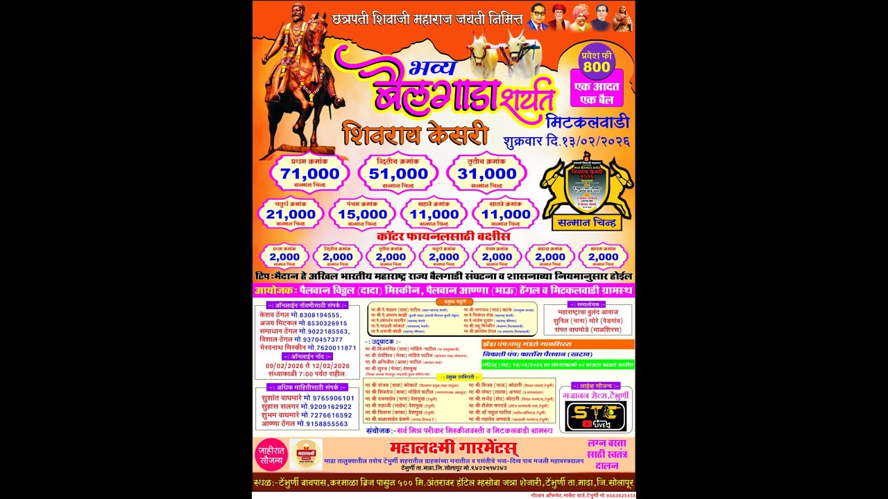 शिवराय केसरी भव्य बैलगाडा आदत बैल शर्यत मैदान मिटकलवाडी टेंभुर्णी