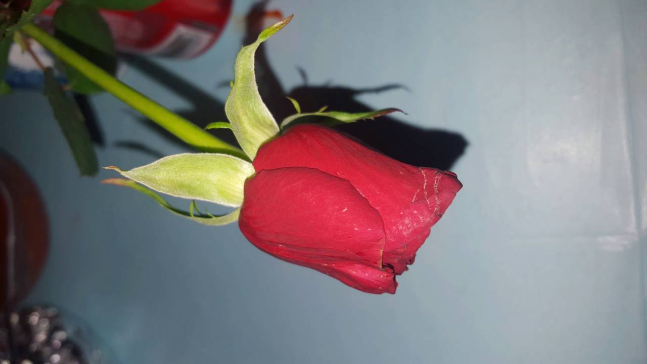 Poder R.3 Sierreño Vol.10