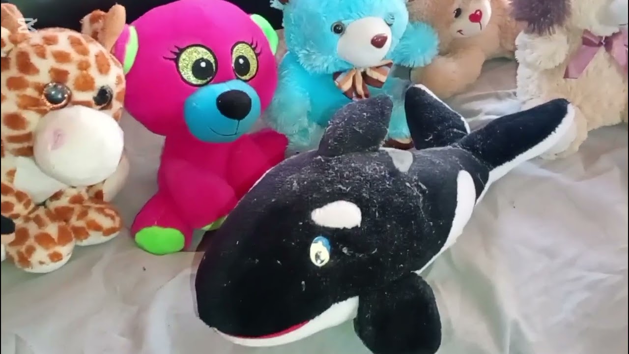 Algo de lo que entró a la colección 👌