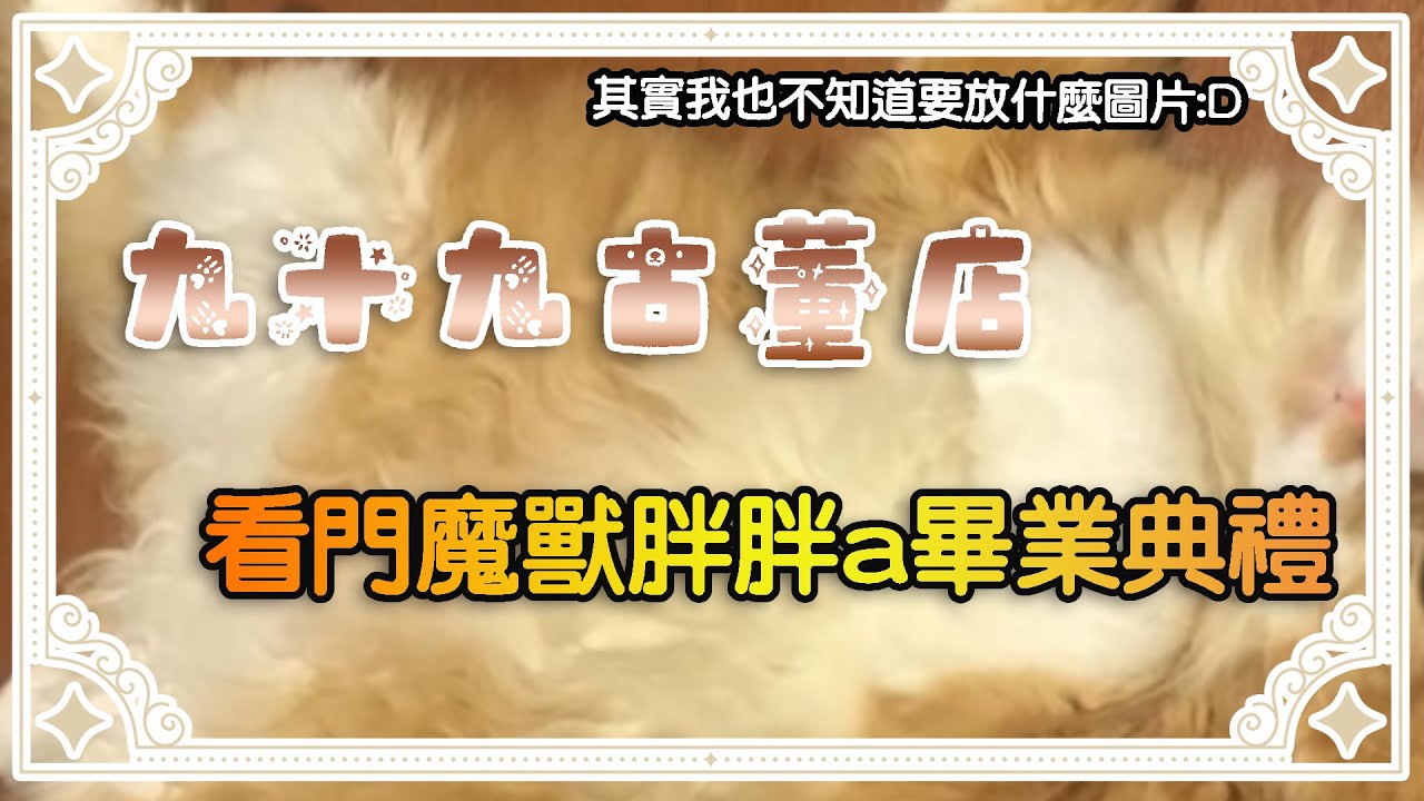 🌰 雜談 🐰 九十九古董店營運公告：「魔獸胖胖畢業了」｜#栗可蓓歐