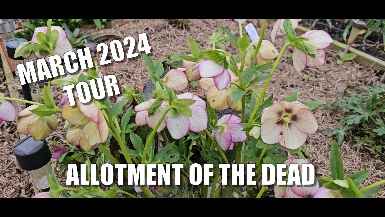 March 2024 Tour