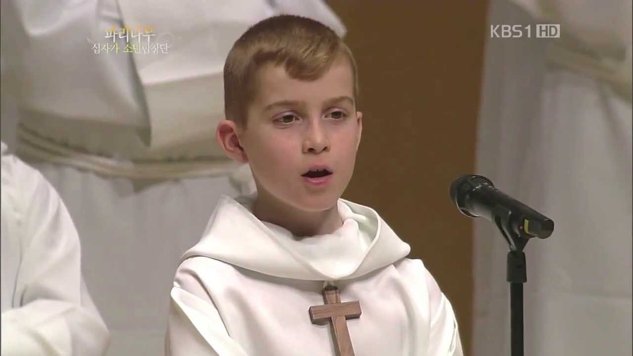 PCCB † Les Petits Chanteurs à la Croix de Bois † - Le duo des chats