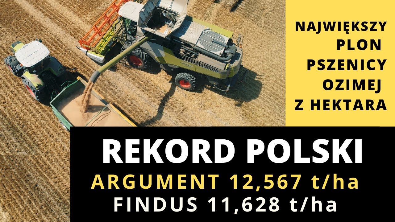 Rekordowe plony pszenicy ozimej - Rekord Polski 2020