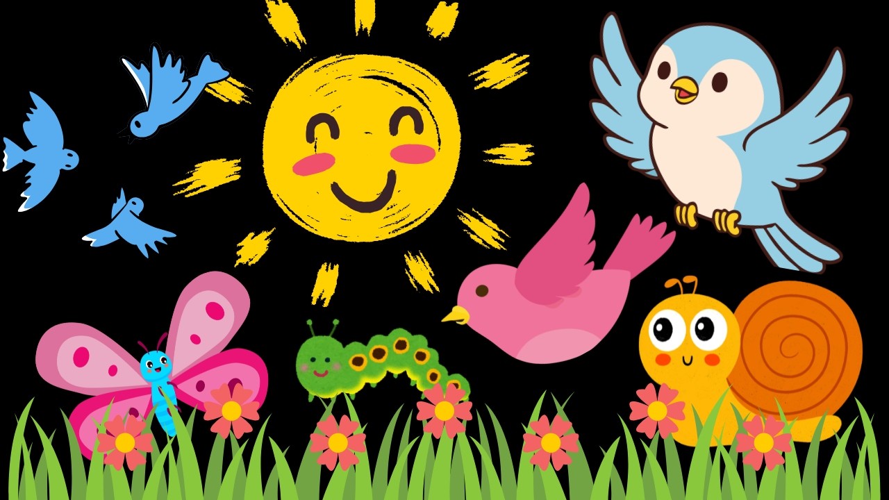 Springtime Birds and Bugs baby sensory video high contrast visual stimulation