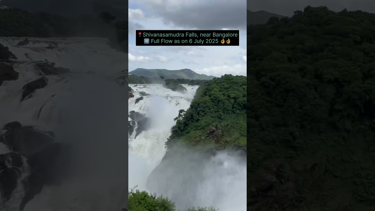 Shivanasamudra falls on July,6 2025 #shortsvideo #shorts #shivanasamudra