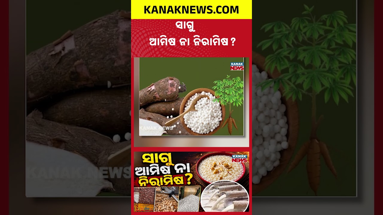 ସାଗୁର ସତ ଜାଣିଛନ୍ତି କି? Is Sabudana Really Veg? The Truth May Leave You Completely Shocked