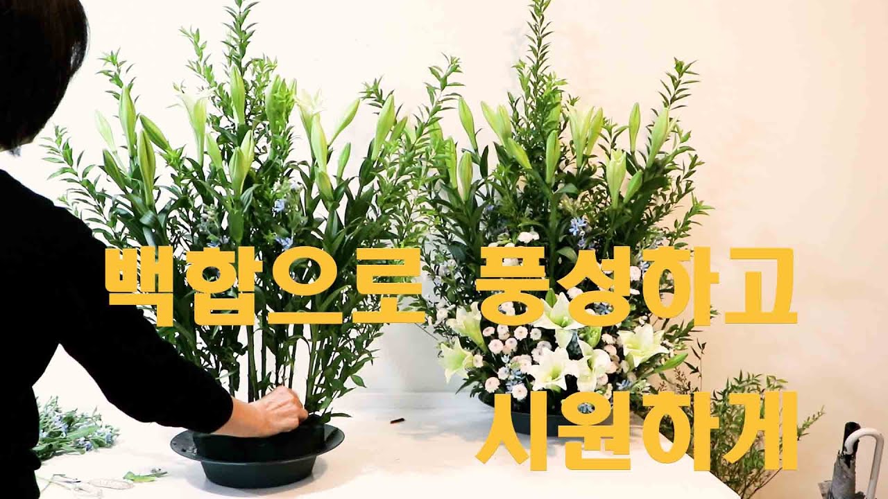 백합을 이용한 풍성하고 시원한 성전 꽃꽂이 하기