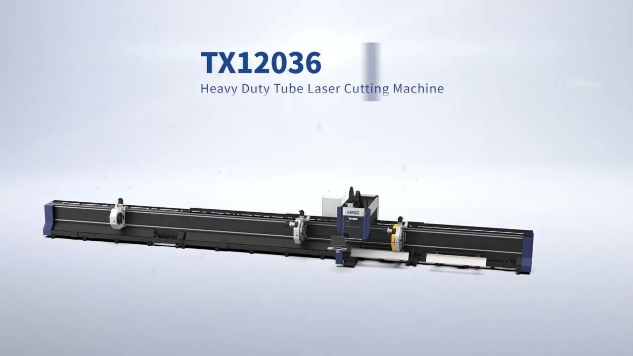HSG TX12036