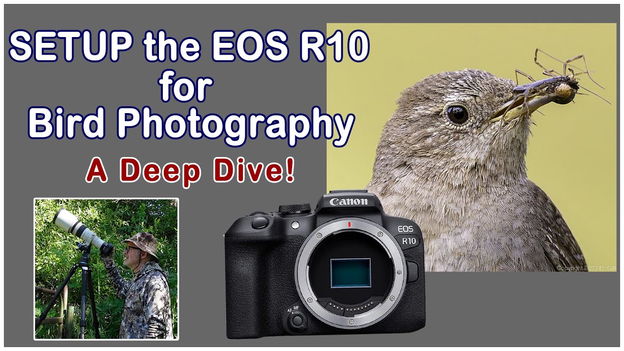 Let's Set Up the Canon EOS R10 for Bird Photography: A Comprehensive Guide - Beginners Welcome