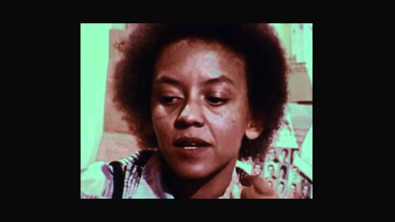 Reflections Unheard: Black Women in Civil Rights Indiegogo Campaign